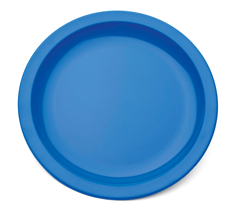 Large Narrow Rimmed Plate